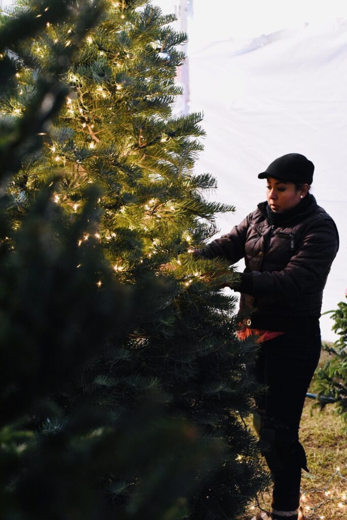 Residential Sandone Christmas Tree