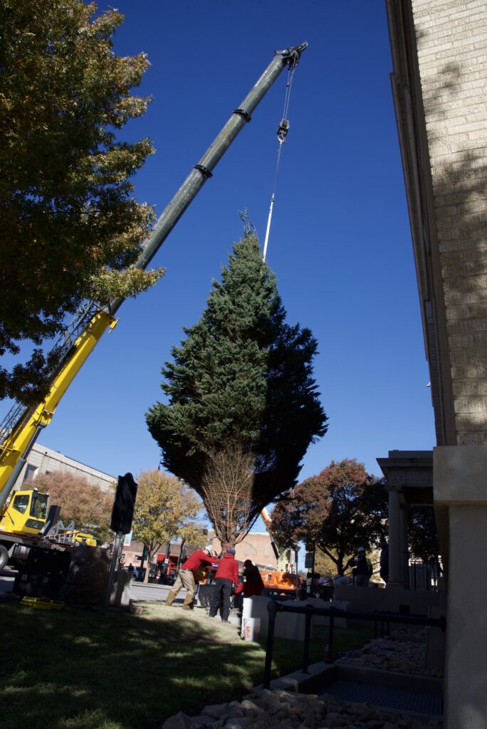 Residential Sandone Christmas Tree