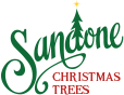 Sandone Christmas Tree